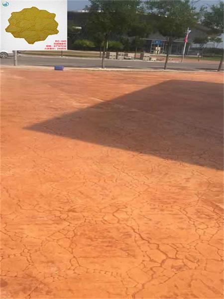 天津體育中心棒球場壓模壓花地坪