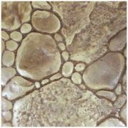 117壓花地坪樣品